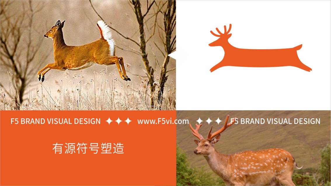 福州VI設(shè)計(jì),福州圖文廣告公司VI設(shè)計(jì)